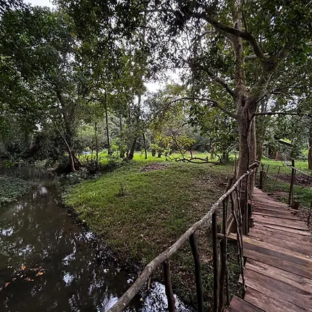 Atha Tree House Villa Habarana Exterior photo
