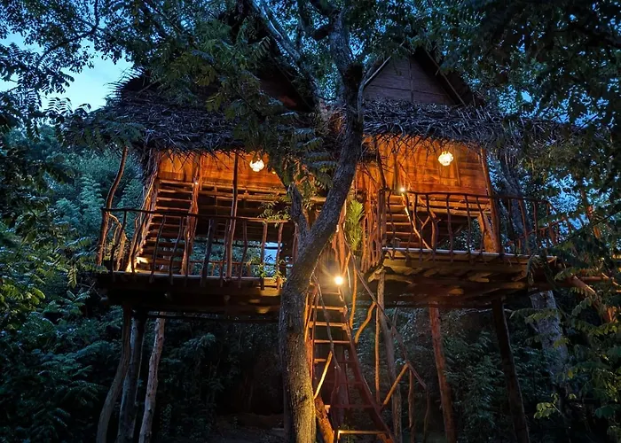 Atha Tree House