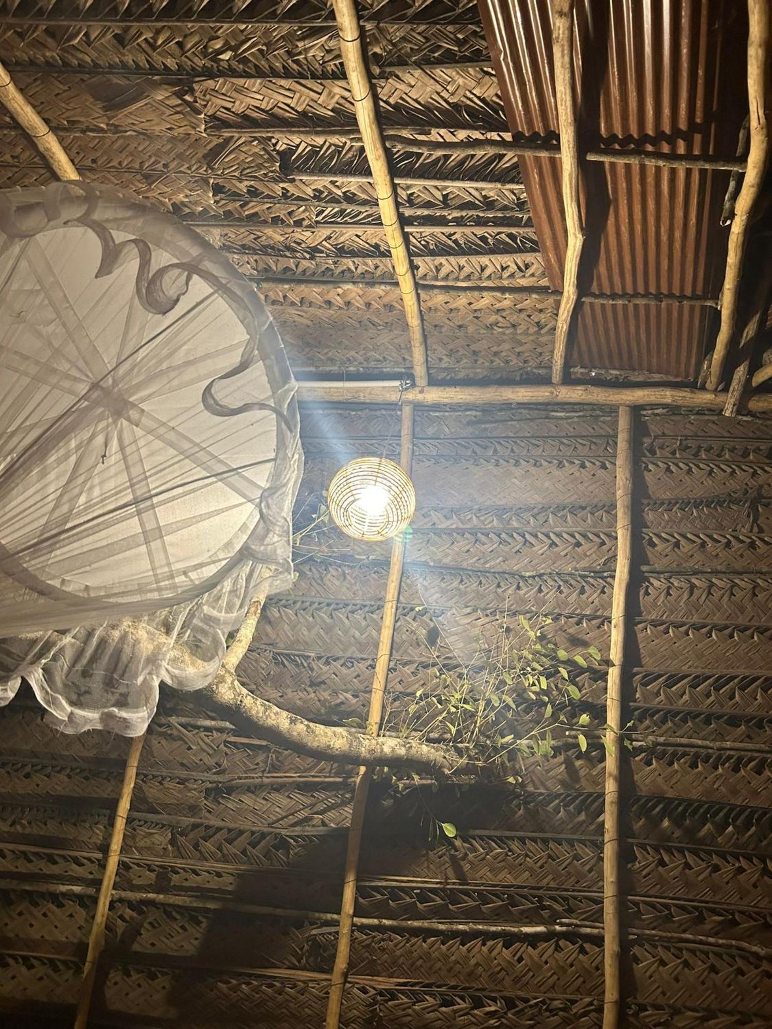Atha Tree House
